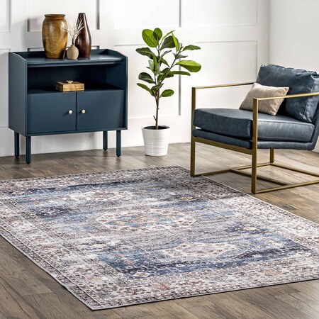 Nuloom Drina Distressed Machine Washable Area Rug 4ft x 6ft BIRV36A-406